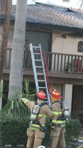 Island fire pic6