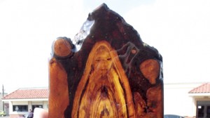 Virgin image