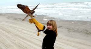 Winter Outdoor Wildlife Expo