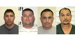 credit card fraud suspects