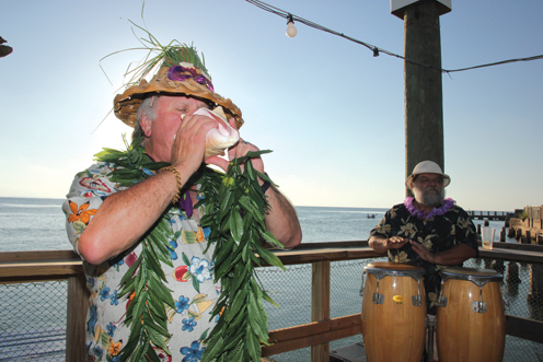 Turtle Days1 Turtle Days1