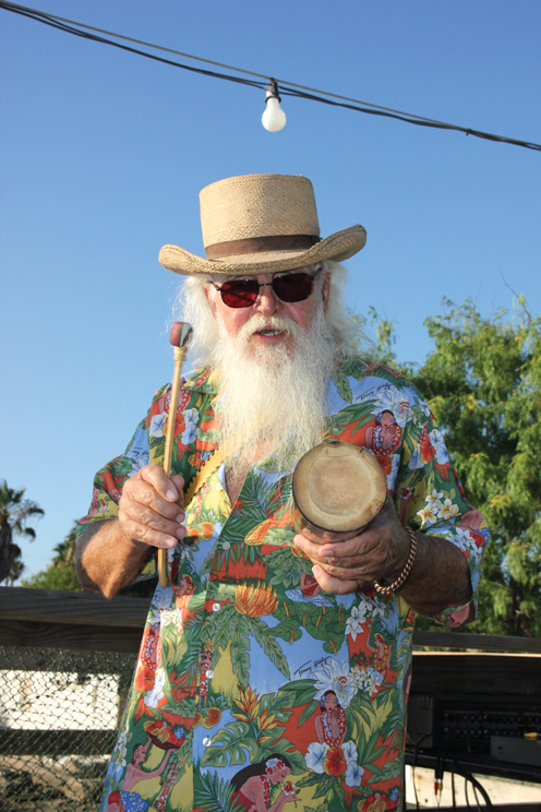 Turtle Days2 Turtle Days2