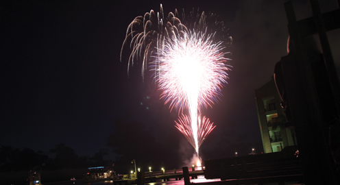 fireworks2 fireworks2