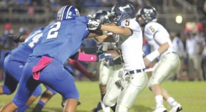 Tarpons