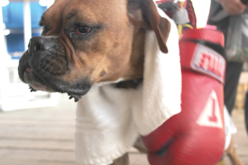 Howl-O-Ween2 Howl-O-Ween2