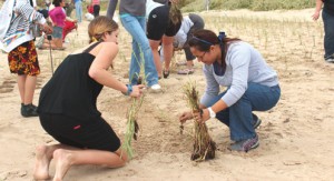 Surfrider volunteers