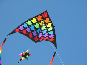 SPI Kite Fest