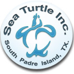 Sea Turtle Inc