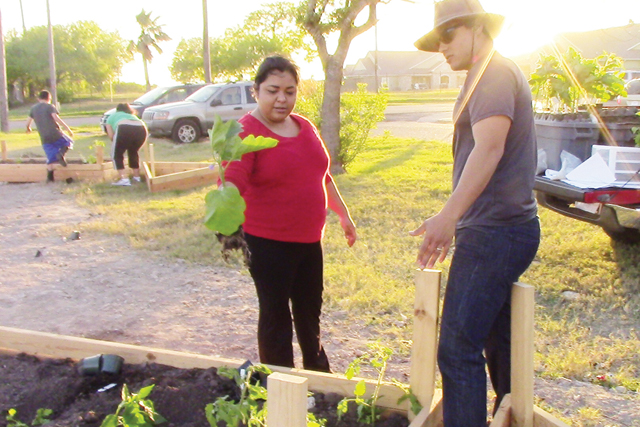 (Photo by Abbey Kunkle) Shown are several volunteers maintaining the Port Isabel Community Garden.
