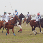 Polo on SPI ~~~ 017WEB