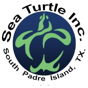 Sea Turtle Inc. hosts community discussion