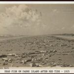 Moments in Time: In our Valley